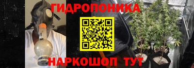 тгк Будённовск