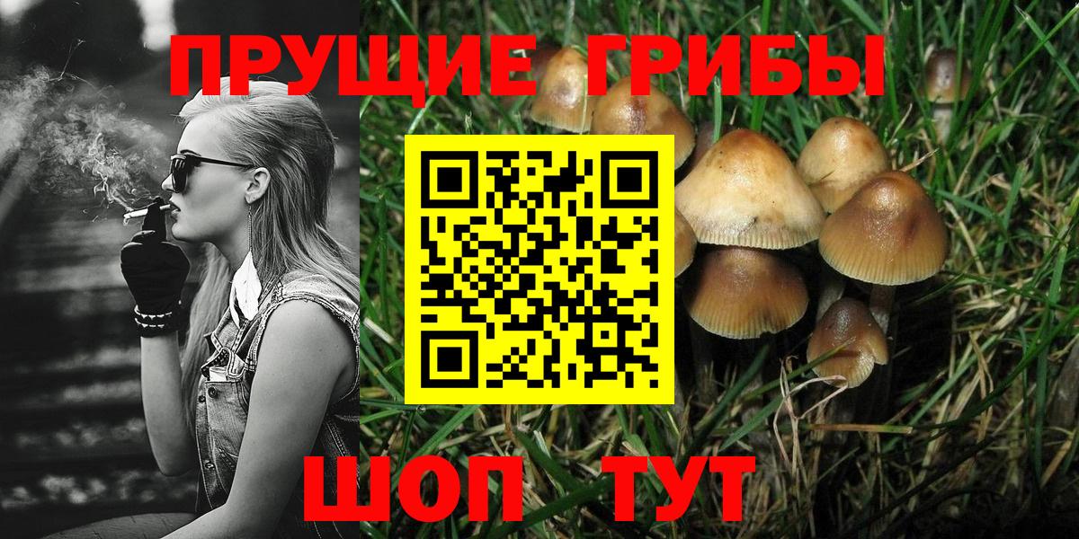 продажа наркотиков  Псилоцибиновые грибы мицелий  Вход с VPN  Маркс 