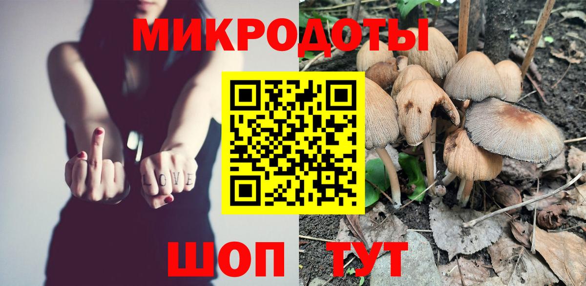 Галлюциногенные грибы Psilocybine cubensis Маркс