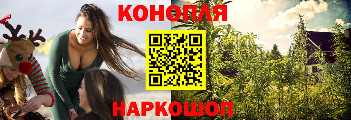 Маркс  Каннабис индика  Конопля сатива  Конопля марихуана  Вход с VPN 